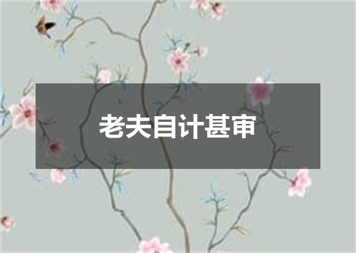 老夫自计甚审