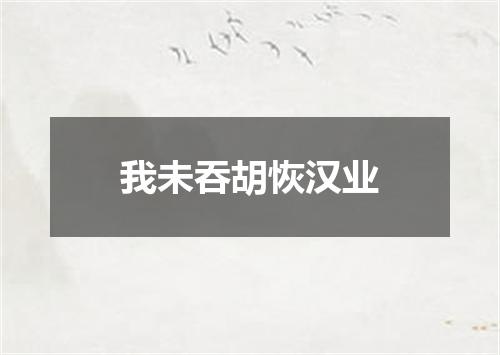 我未吞胡恢汉业