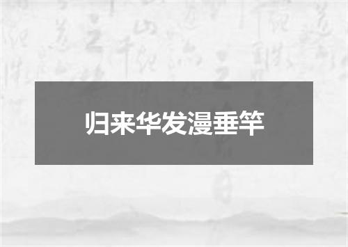 归来华发漫垂竿