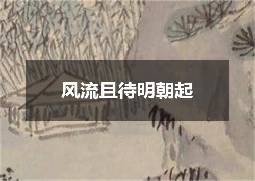 风流且待明朝起
