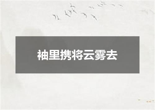袖里携将云雾去