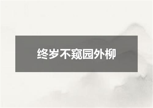 终岁不窥园外柳