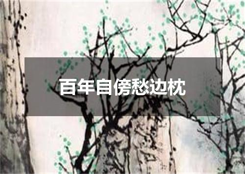 百年自傍愁边枕