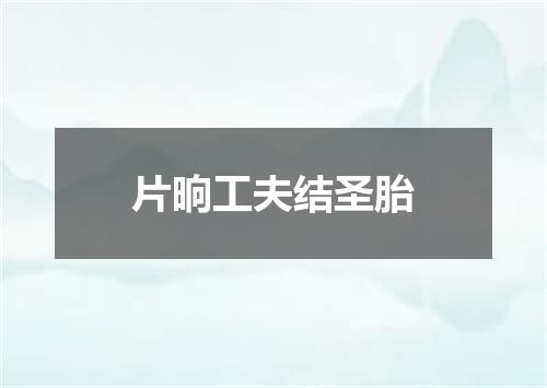 片晌工夫结圣胎