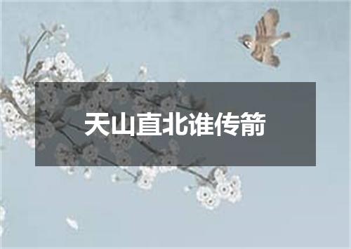 天山直北谁传箭
