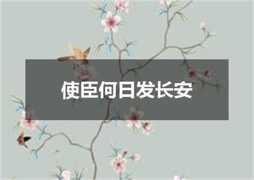 使臣何日发长安