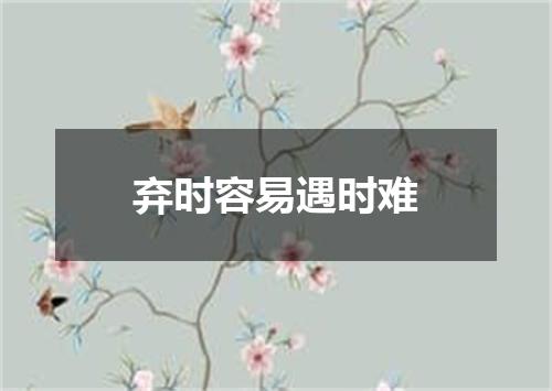 弃时容易遇时难