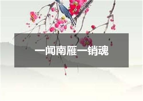 一闻南雁一销魂