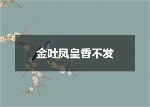 金吐凤皇香不发