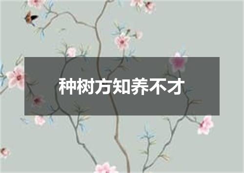 种树方知养不才