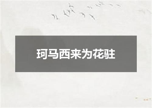 珂马西来为花驻