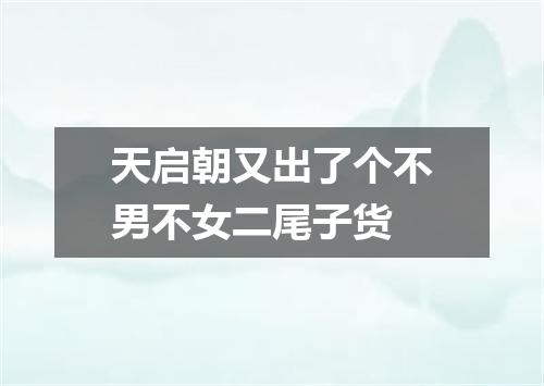 天启朝又出了个不男不女二尾子货