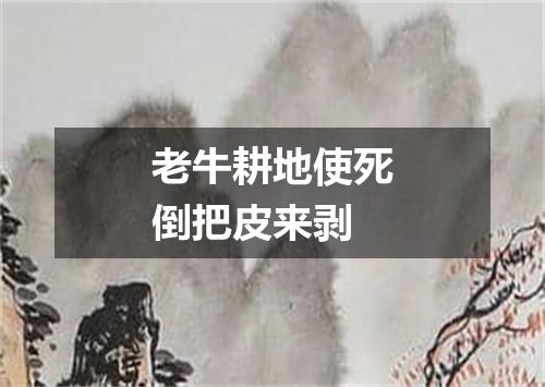 老牛耕地使死倒把皮来剥