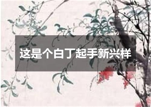 这是个白丁起手新兴样