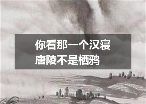 你看那一个汉寝唐陵不是栖鸦
