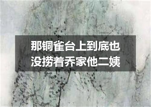 那铜雀台上到底也没捞着乔家他二姨