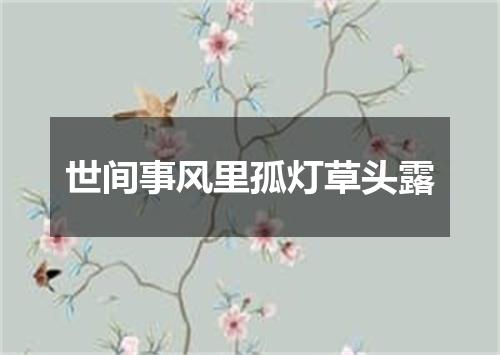 世间事风里孤灯草头露