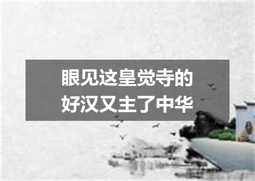 眼见这皇觉寺的好汉又主了中华