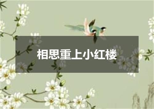 相思重上小红楼