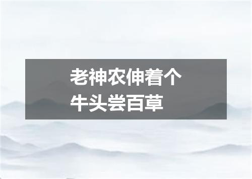 老神农伸着个牛头尝百草