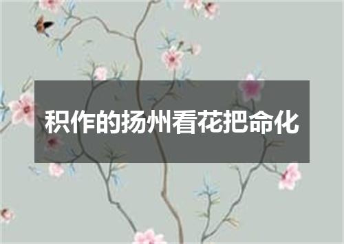 积作的扬州看花把命化