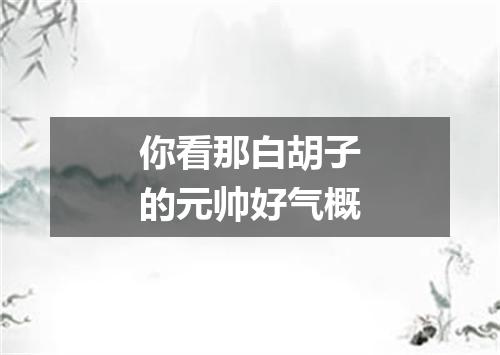 你看那白胡子的元帅好气概