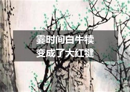 霎时间白牛犊变成了大红犍