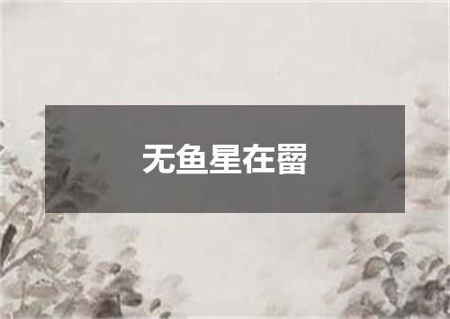 无鱼星在罶