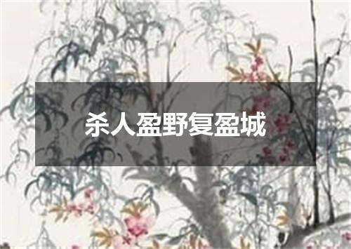 杀人盈野复盈城