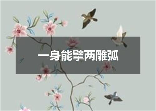 一身能擘两雕弧