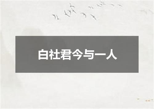 白社君今与一人