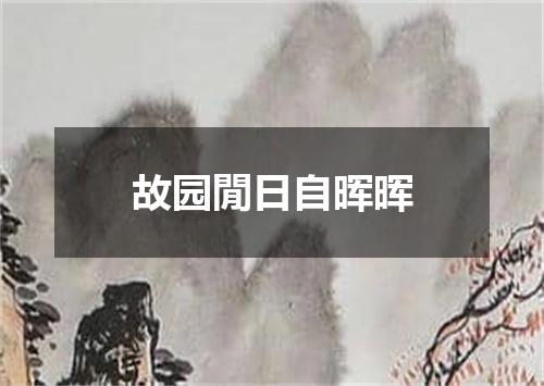 故园閒日自晖晖