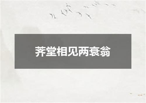 荠堂相见两衰翁