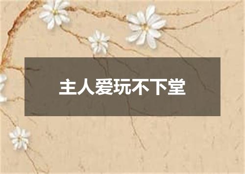 主人爱玩不下堂
