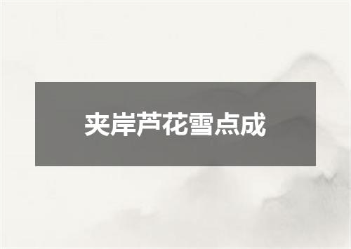 夹岸芦花雪点成