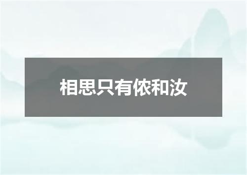 相思只有侬和汝