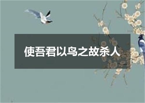 使吾君以鸟之故杀人