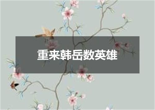 重来韩岳数英雄