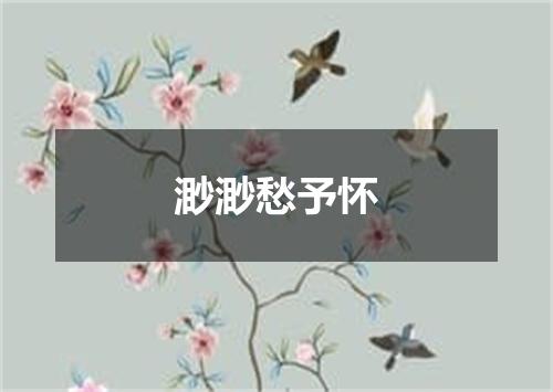 渺渺愁予怀