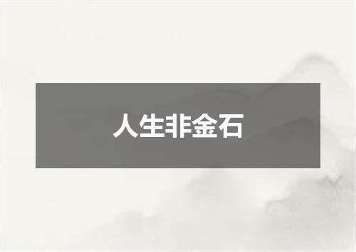 人生非金石