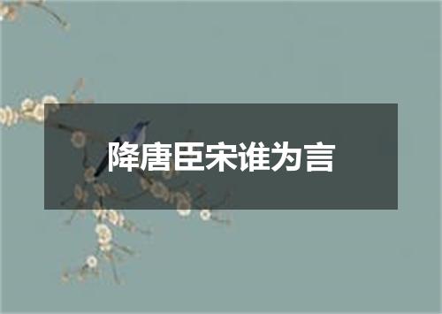 降唐臣宋谁为言