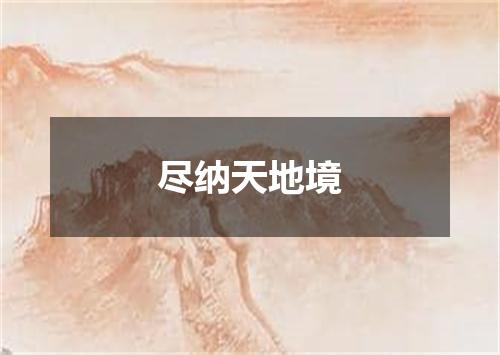 尽纳天地境