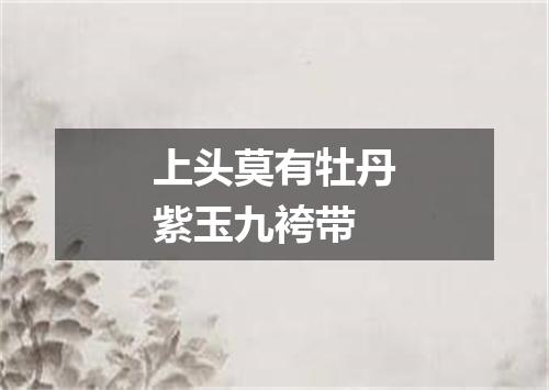 上头莫有牡丹紫玉九袴带