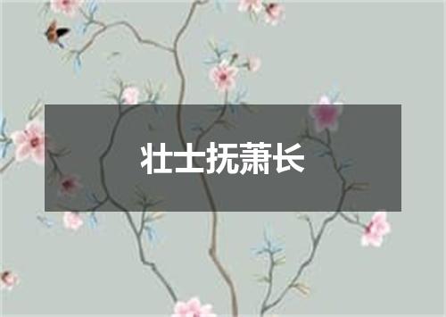 壮士抚萧长
