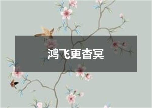 鸿飞更杳冥