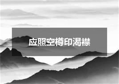 应照空樽印渴襟