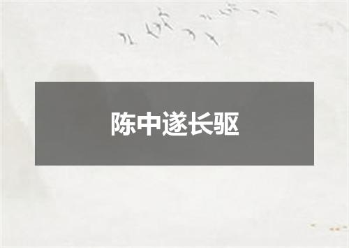 陈中遂长驱