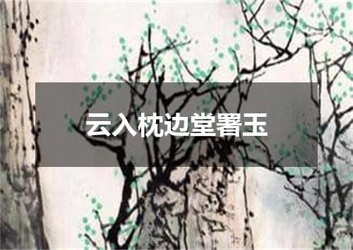 云入枕边堂署玉