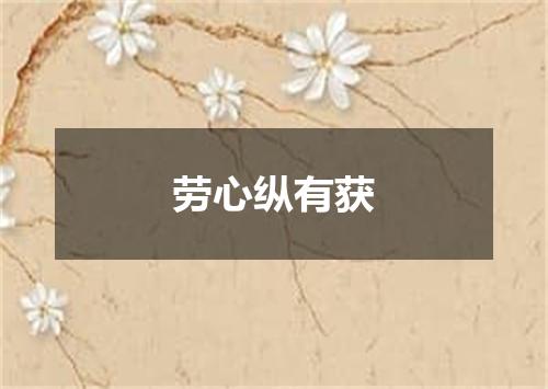 劳心纵有获