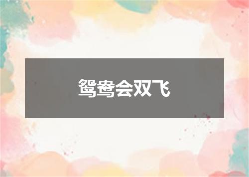 鸳鸯会双飞